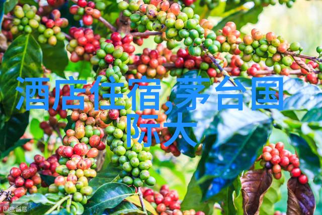 出国旅游去哪个国家普罗旺斯在哪里它位于法国回望那幅位置地图心中不禁涌现无数疑问与向往