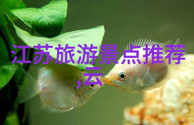 云端八面山房探索车载酒店新篇章