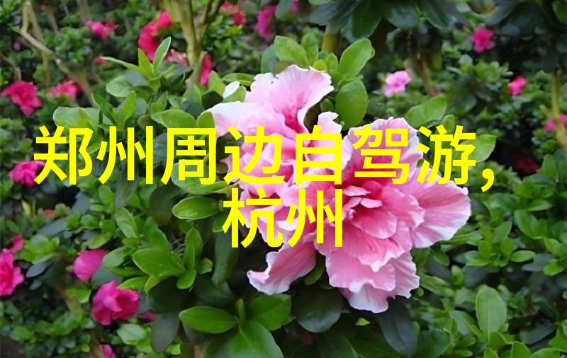77bike折叠车之家App轻松驾驭便携生活的新伙伴
