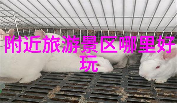 太平洋上的哪些岛屿以其独特的地理位置著称