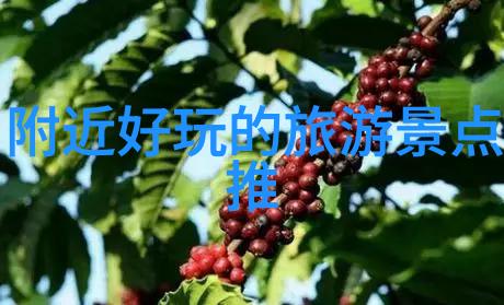 法国之恋探索巴黎的浪漫旅行线路