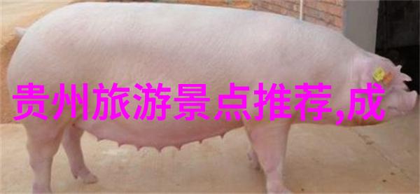 骑行的抉择山地车与公路车之间的选择