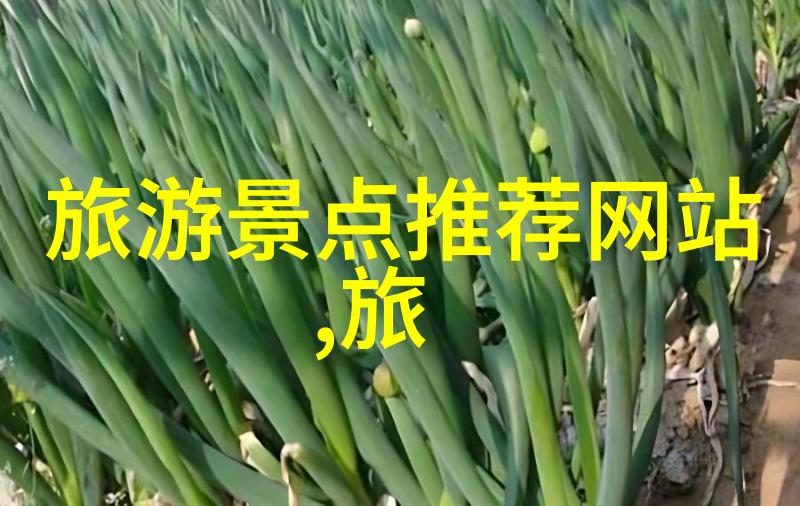 探索无限路线自驾游保险选择指南