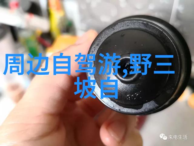 大自然之冠荔波县大小七孔的生态宝库