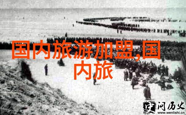 荒野求生与五星级度假四年级的奇幻旅程