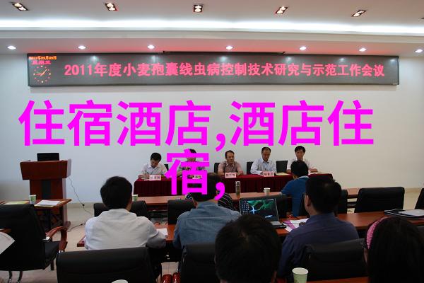 寒流送暖东部沿海城市的温馨冬季游玩指南