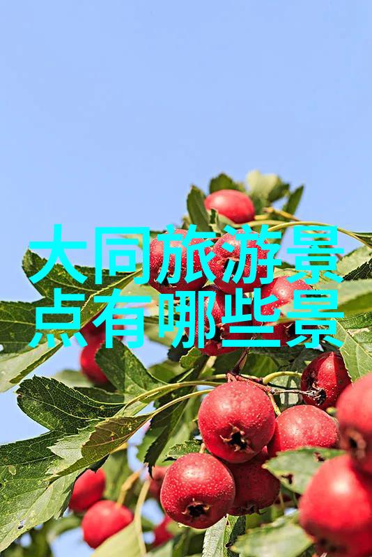 风吹过脸庞汗水滴落路面心情随之涌动每一次骑行都是一场与自我的对话一次对于生活的深刻思考在这条条小路上