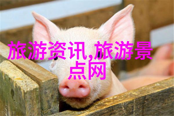 四川九寨沟探秘成都之外的自然奇观路线图上藏100个乐趣之选