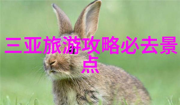 成都4天3晚自由行攻略笑傲四川逛出精彩
