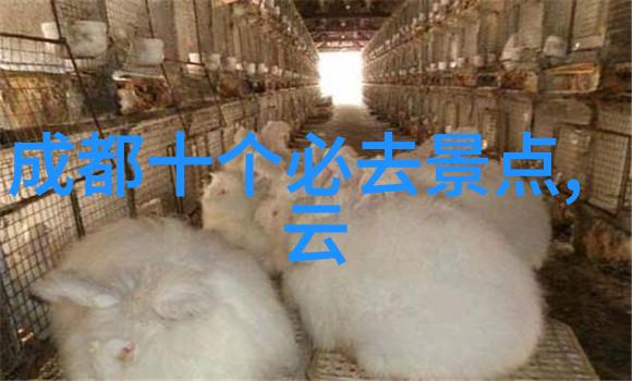 延绵岁月里的相思花