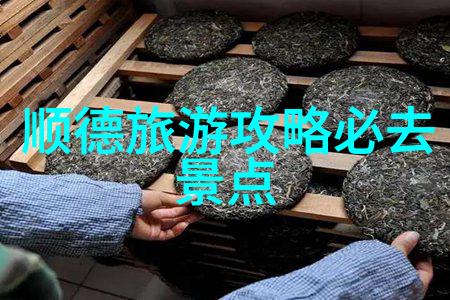 扬州古韵漫步揭秘丝绸之城的悠久魅力