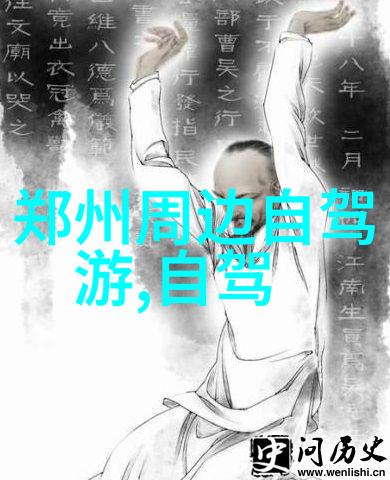 烟花明月夜游扬州感受古韵中的现代活力