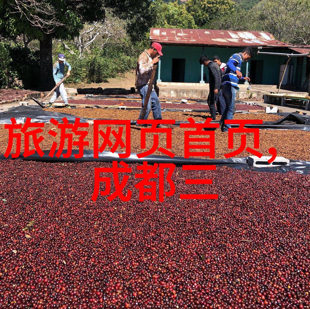 探索乐园20个让孩子们欢笑的幼儿园户外小游戏