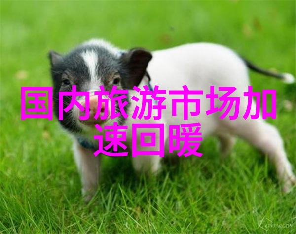雅安市旅游景点推荐探索四川神山之都的魅力