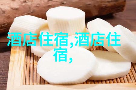 关于游记作文我叫小明的追逐风景留住故事我的旅行日记