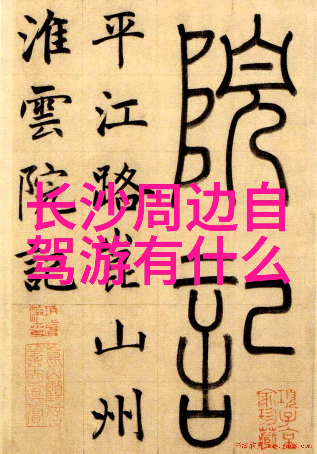 绿茵缤纷公园里的欢乐旋转