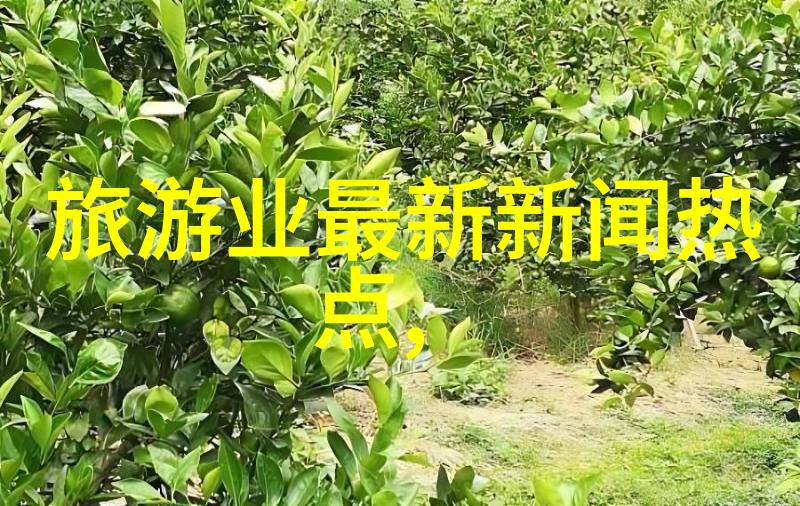 雪乡旅游攻略 - 冰封美景的呼唤探索中国最美雪乡的绝佳行程