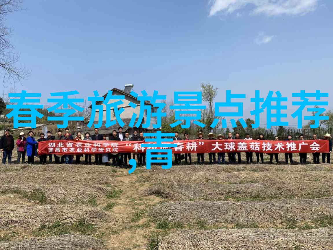 重庆周边自驾游 - 探索川渝一带的美丽秘境