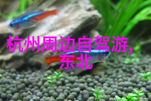 绝世枕边侍者极品家丁的秘密