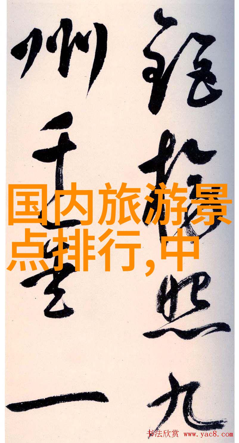广州自行车骑行乐趣大放光揭秘城市之都的自行车文化盛宴