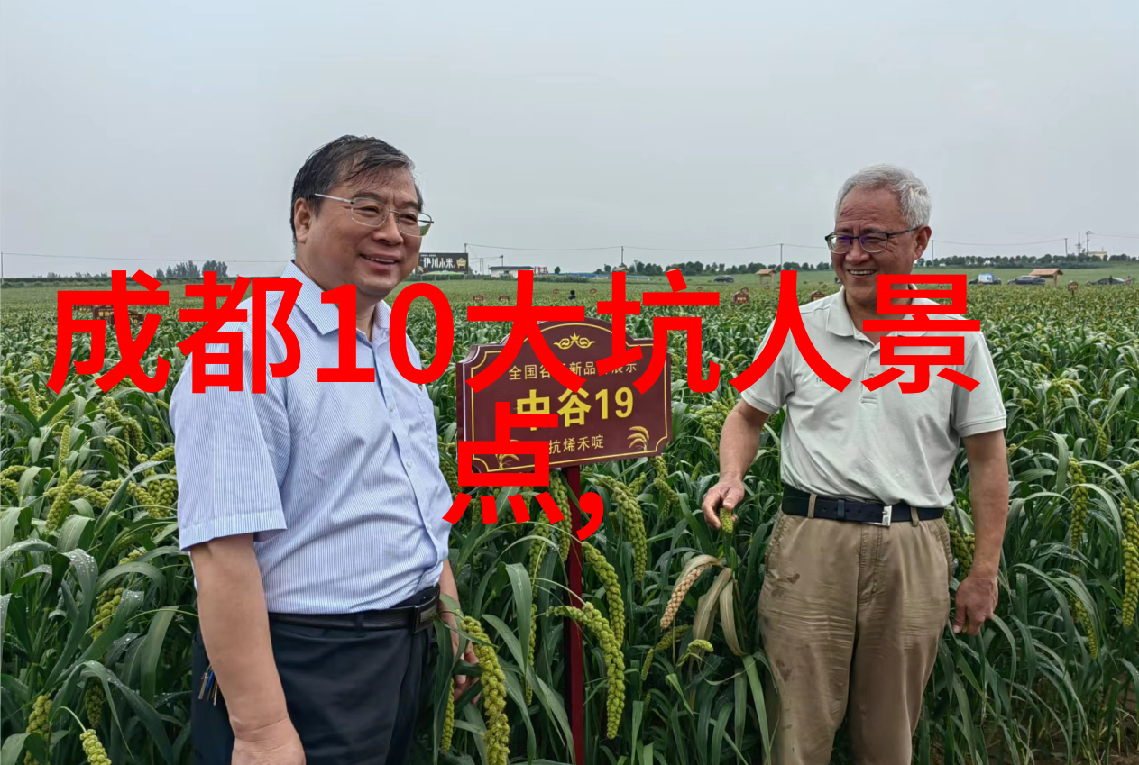 极速骑行4破解版助力大学生与父亲的壮丽旅程4700公里31天风驰电掣直达校园