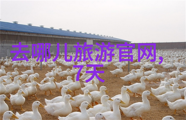 云南旅行指南探索十大不容错过景区