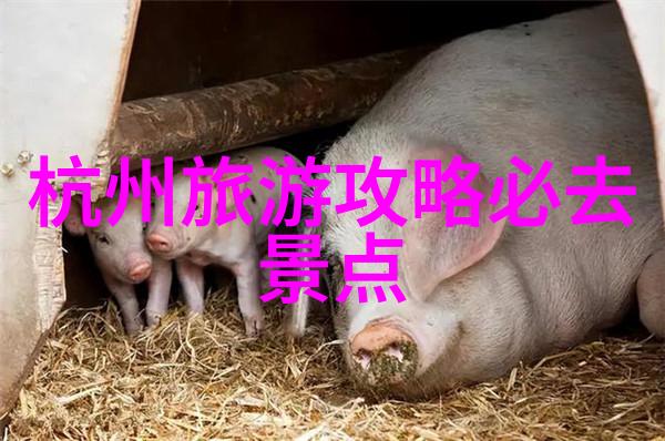 青春尽头的秘密之旅揭开第三季未解之谜