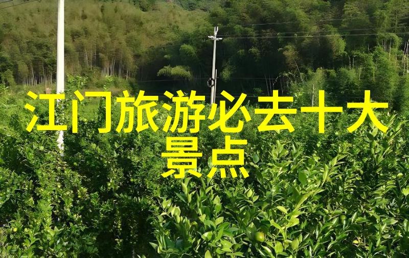 山东旅游指南探索青岛潍坊和济南的文化与自然奇观