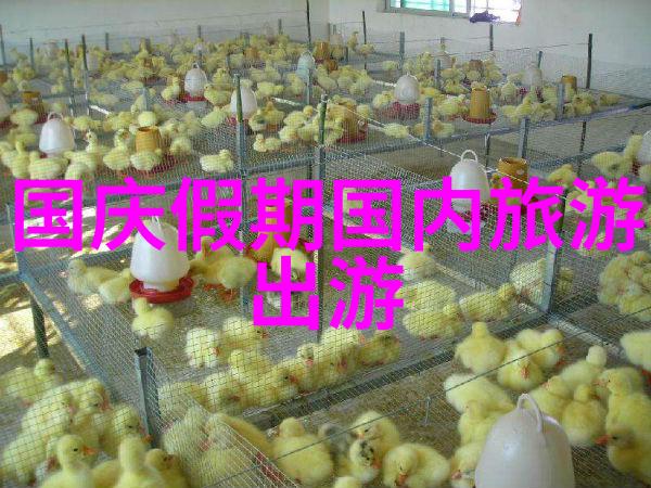 姜可小说穿越时空的笔尖魔力
