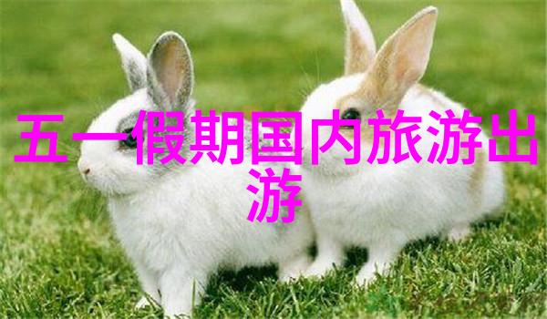 风起云涌的数字时代为什么还要骑自行车探索app骑行软件下载背后的反差现象