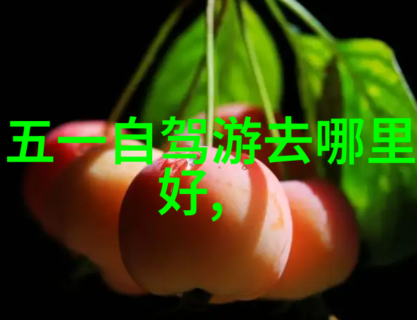 迷宫逃脱团队生存游戏的真实模拟