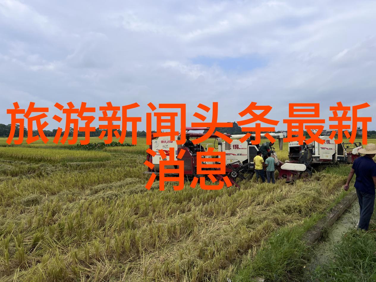 骑行减肥效果怎么样我来告诉你
