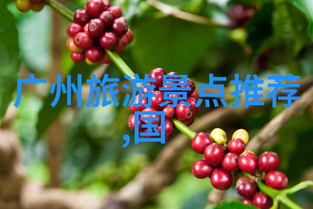 探索全球美食天堂吃货的旅行指南