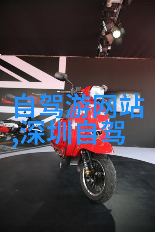 自行车的世界从泥土到金奖征服山丘的不懈追求
