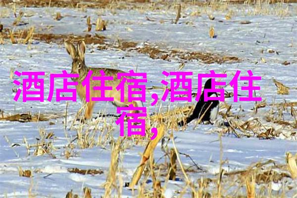 东南亚国家旅行泰国柬埔寨老挝