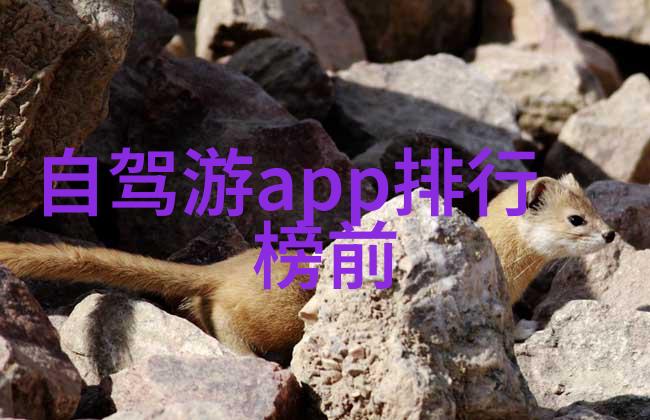 初二学生的600字游记之旅