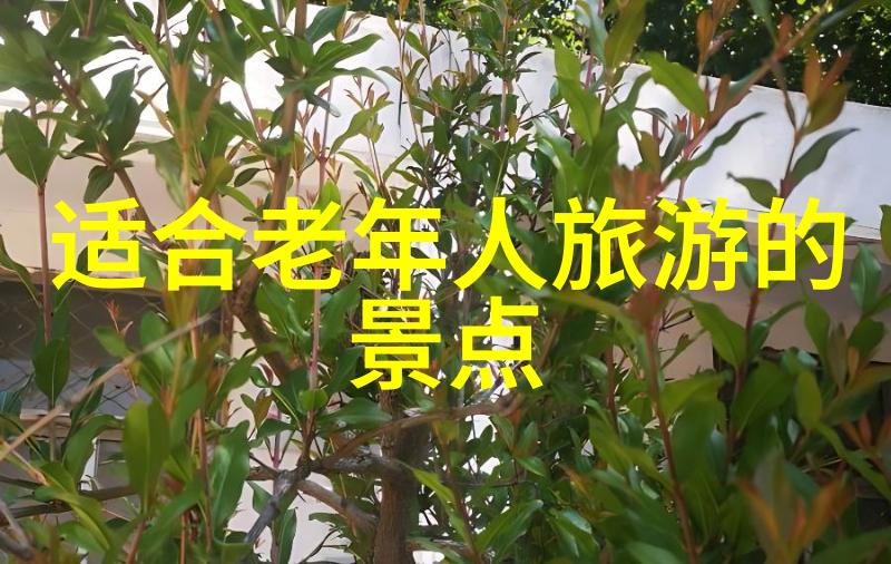 青铜匕首历史的见证与文明的印记
