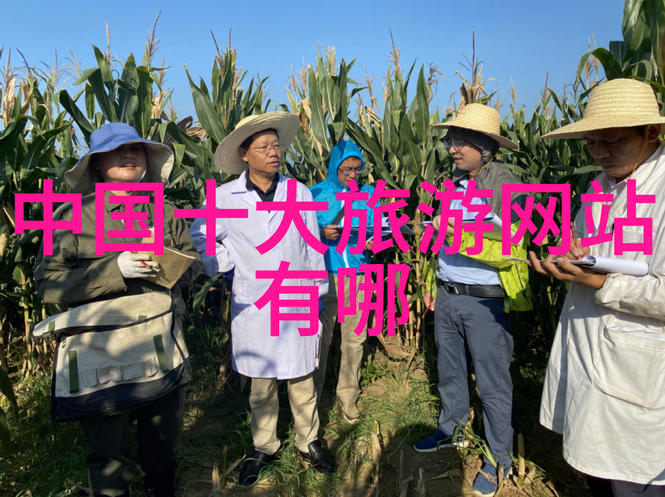 贵阳奇遇探秘碧江之光与花海盛宴