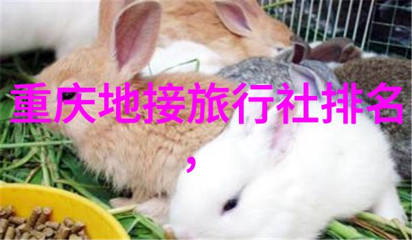 桂林之冠探索漓江上的碧波与奇峰