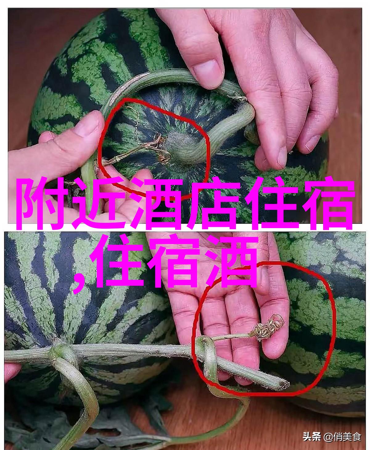 趣味户外活动游戏大全-探险乐园趣味户外活动游戏大全指南