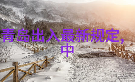 港澳证签注收费一年两次与三个月两次收费区别出国去哪个国家比较好