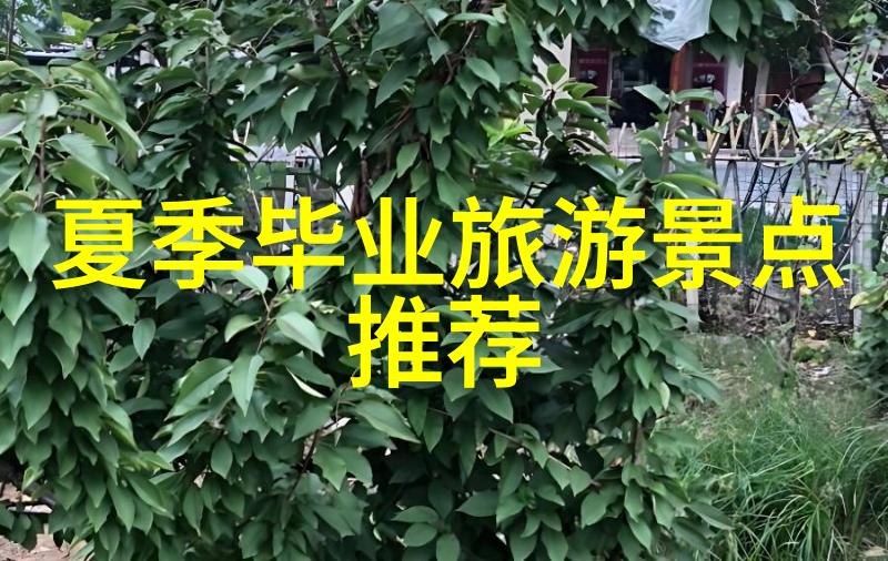 贵州旅游特色及旅游线路我在贵州的探险之旅秘境发现与风土人情