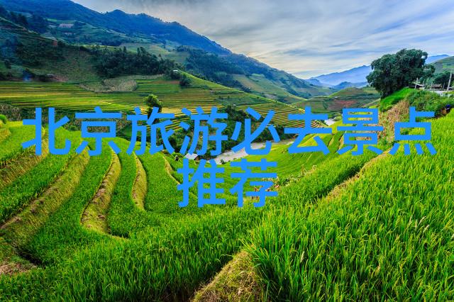 同行篇章探索结伴旅游网的奇遇与温情