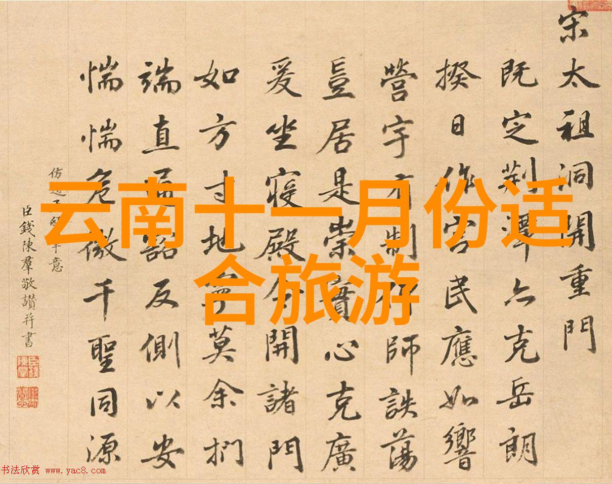 自行车骑行技巧与要领安全骑行法则体能锻炼方法路线选择策略