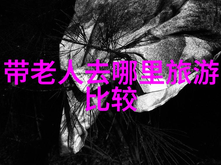 游学校生活学生的快乐时光