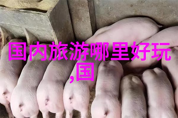 亲历大漠风情寻找适合家庭的内蒙古自驾路径有哪些建议