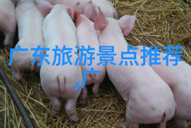 重生之超级巨星从落魄到天涯
