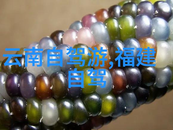 苏州古韵游探秘园林赏美食的文明之都