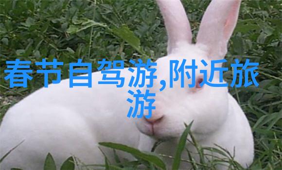 当地习俗我家乡的年三十要把门窗都撑上防着年兽跑进来