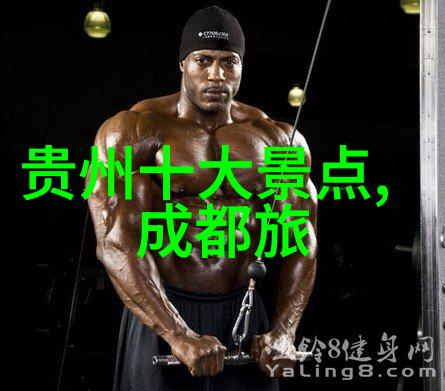 中策橡胶(天津)有限公司开业共筑和谐未来探索骑行记录软件的自然之旅